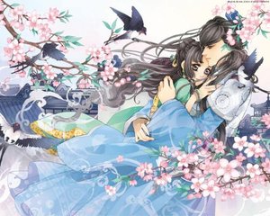 打扑克的视频免费看